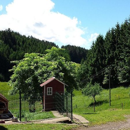 Ferienwohnung Ringwald Biederbach Baden-Württemberg المظهر الخارجي الصورة