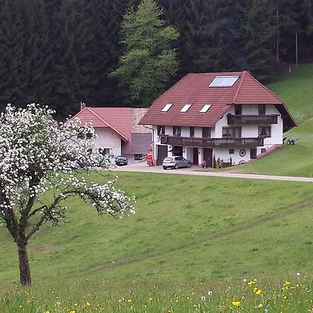 Ferienwohnung Ringwald Biederbach Baden-Württemberg المظهر الخارجي الصورة
