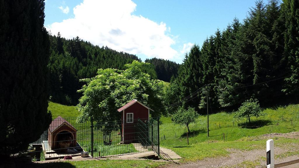 Ferienwohnung Ringwald Biederbach Baden-Württemberg المظهر الخارجي الصورة