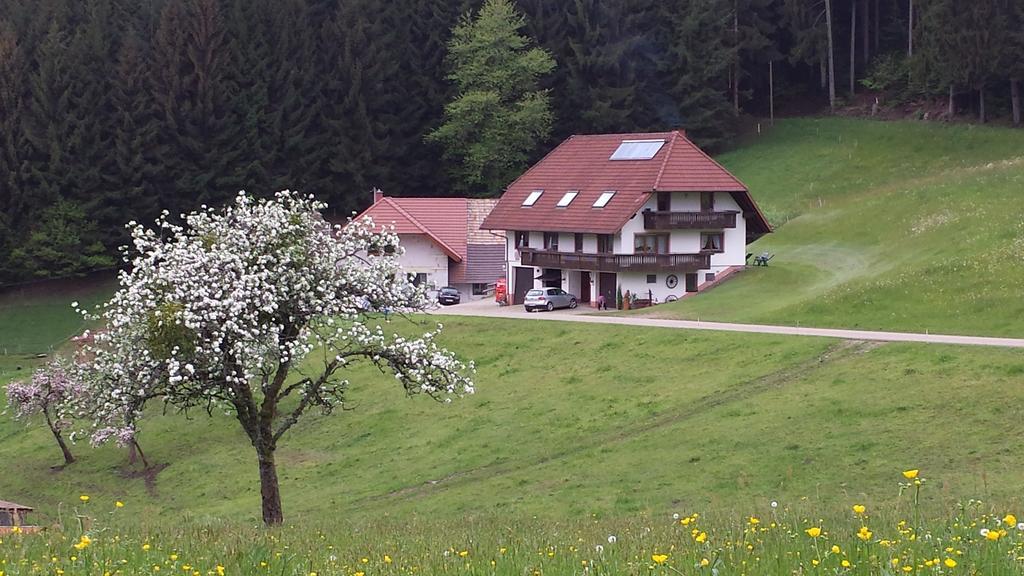 Ferienwohnung Ringwald Biederbach Baden-Württemberg المظهر الخارجي الصورة